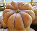 Fairytale pumpkin squash