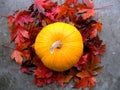 Pumpkin at Fall Royalty Free Stock Photo