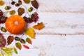 Pumpkin, fall leaves, acorns on the white painted wood, copy space Royalty Free Stock Photo