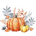 Pumpkin and fall leaves bouquet. Thanksgiving and Halloween design template. Hello autumn illustration. Harvest festival