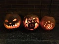 Pumpkin family