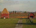 Pumpkin farm Royalty Free Stock Photo