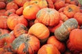 Pumpkin on the farm market. Natural local products on the farm market. Harvest Royalty Free Stock Photo