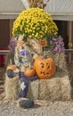 Pumpkin decorations