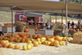 Pumpkin Field Market