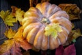 Pumpkin and foliage Royalty Free Stock Photo