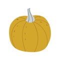 Pumpkin food vector icon design illustration. Autumn halloween pumpkin, vegetable graphic icon. Thanksgiving pumpkin vector