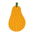 Pumpkin fresh vegetable harvest isolated icon style