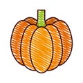 Pumpkin fresh vegetable icon