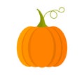 Pumpkin fruit fall symbol