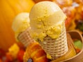 Pumpkin Gelato Royalty Free Stock Photo