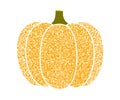 Pumpkin gold glitter color for holiday Halloween. Seasonal October vegetable pumpkin. Vector illustration on white