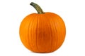 Pumpkin. Pumpkin good for carving a Jack o Lantern on Halloween. Farm autumn October harvest. Pumpkin for Oktoberfest