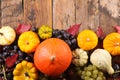 Pumpkin, gourd and grapes- autumn fruits and vegetables Royalty Free Stock Photo