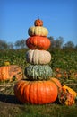 Pumpkin Gourd Tower Royalty Free Stock Photo