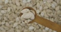 Pumpkin grains in a spoon. Refocusing from a spoonful of grain to a pile of grain. Rotation.