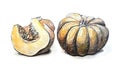 Pumpkin graphic drawing illustration