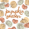 Pumpkin graphic ink vector colorful illustration. Hand drawing sketch. Greeting card with handwritten pumpkin season