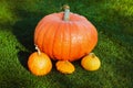 The pumpkin on the green grass Royalty Free Stock Photo