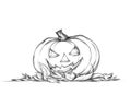 Pumpkin with grim face expression in autumn leaves Royalty Free Stock Photo