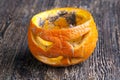 pumpkin for Halloween celebration covered with mold Royalty Free Stock Photo