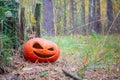 Pumpkin halloween symbol in the autumn forest. Next to an old rotten stump covered with moss Royalty Free Stock Photo