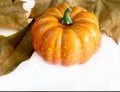 Pumpkin hallowen