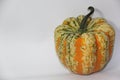 Pumpkin on halowen Royalty Free Stock Photo