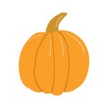 Pumpkin hand drawn illustration.