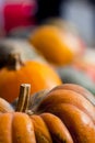 Pumpkin Harvest