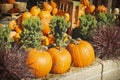 Pumpkin harvest