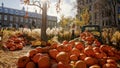 Pumpkin harvest festival during autumn on a sunny day in Quebec City, Canada.