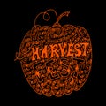 Pumpkin. Harvest Festival. Hand drawing. Lettering, doodles. Poster, banner, invitation.