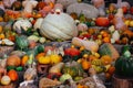 Pumpkin Harvest Orange, yellow green pumpkins on farmer's market Fall harvesting Royalty Free Stock Photo