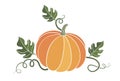 Pumpkin. harvesting. natural food. colored vector illustration on white