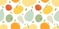 Pumpkin harvesting seamless pattern. Colorful harvest illustration