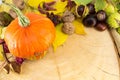 Pumpkin with hazelnuts, chestnuts and walnuts Royalty Free Stock Photo