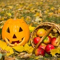 Pumpkin - head and basket with apples on a background of yellow leaves