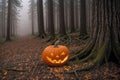 pumpkin head glows in the dark forest, scary and mystical, Halloween concept, roots of trees