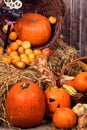 Pumpkin heads and autumn props wooden background