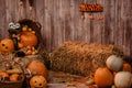 Pumpkin heads and autumn props wooden background