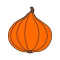 Pumpkin. Hokkaido pumpkin cute hand drawn illustration vector. Royalty Free Stock Photo