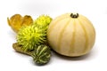 Pumpkin, horned melon vegetables