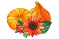 Pumpkin, hydrangea, sunflower and rowan, autumn composition on a white background Royalty Free Stock Photo