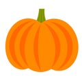 Pumpkin icon vector