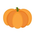 Pumpkin icon flat or cartoon style. Isolated on white background. Vector illustration. Royalty Free Stock Photo