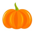 Pumpkin icon