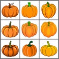 Pumpkin icon set for autumn. Halloween cartoon orange vegetable design. Vector illustration isolated on white background Royalty Free Stock Photo