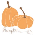 Pumpkin icon vector illustration set and handdrawn lettering. Autumn Halloween or Thanksgiving pumpkin symbol in flat design, Royalty Free Stock Photo