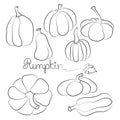 Pumpkin icon vector illustration set and handdrawn lettering. Autumn Halloween or Thanksgiving pumpkin symbol in flat design, Royalty Free Stock Photo